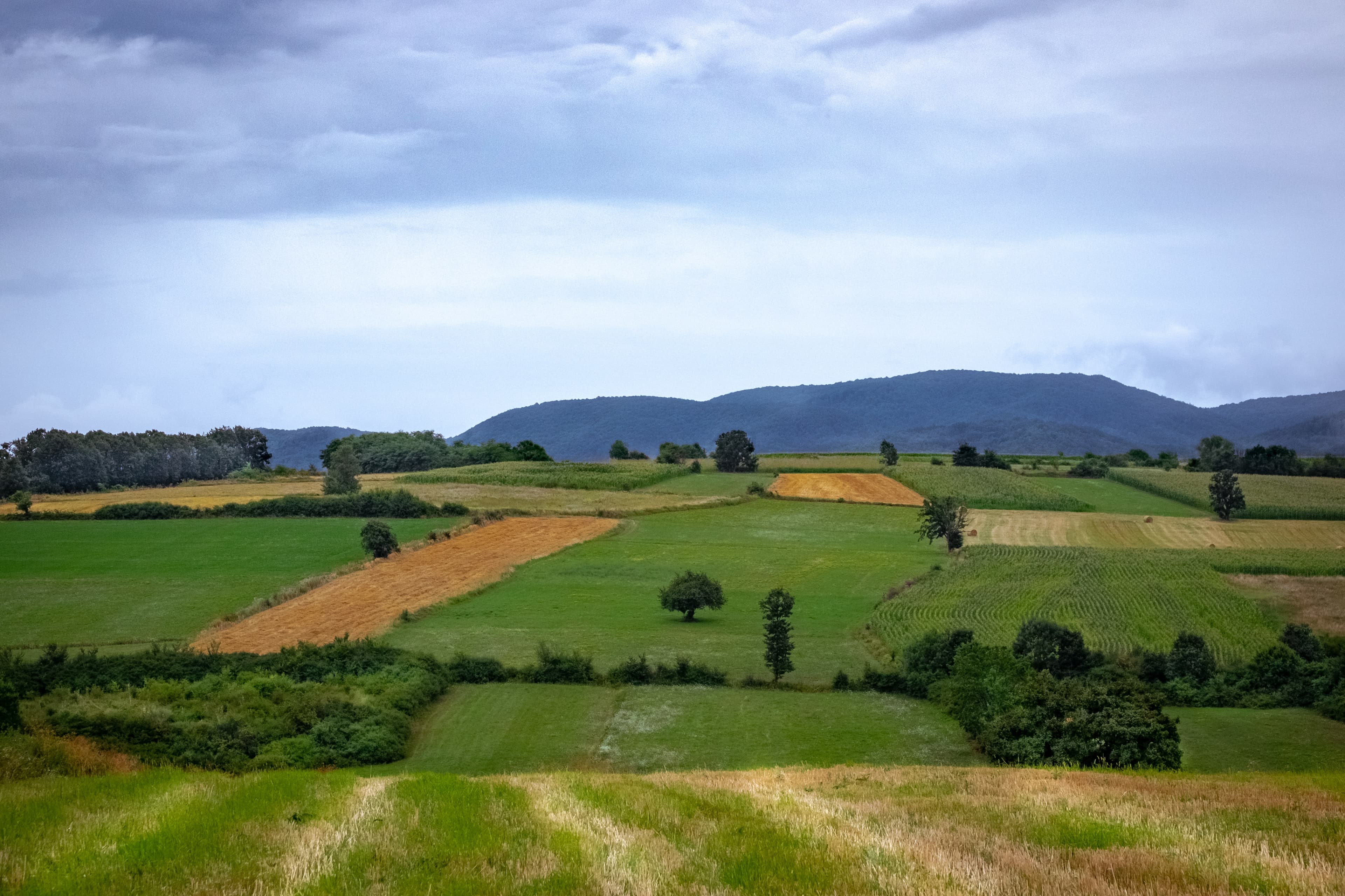 Farmers discussing crops